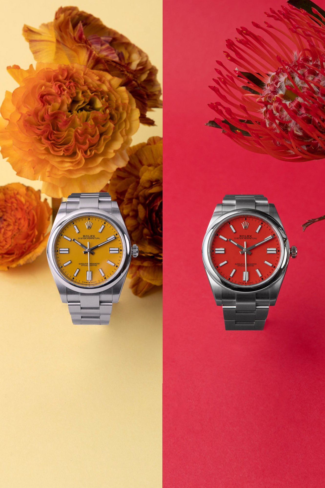 Rolex Oyster Color