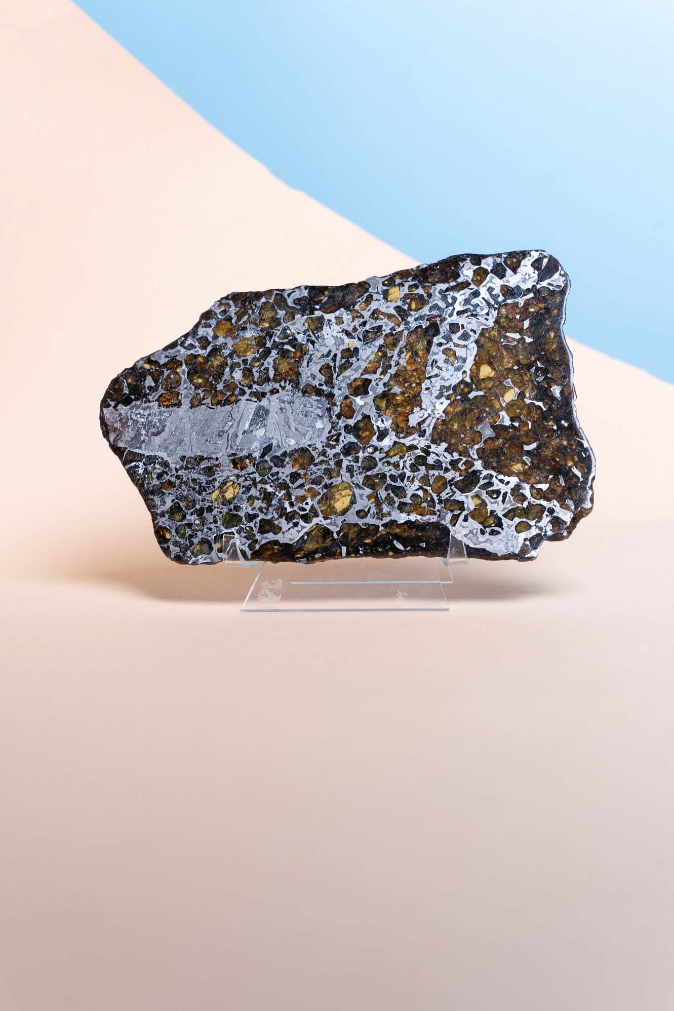 Meteorit/Pallasitscheibe