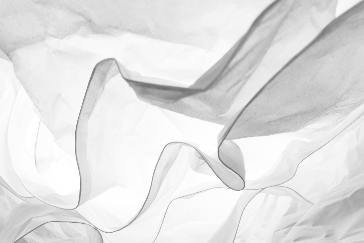 Peter Simon Pallas’ Eisenfund