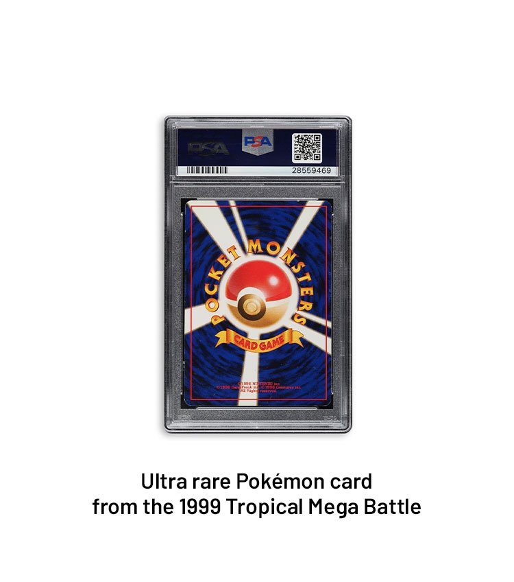 Pokémon JP Promo Mega Battle Tropical Wind: A Timeless