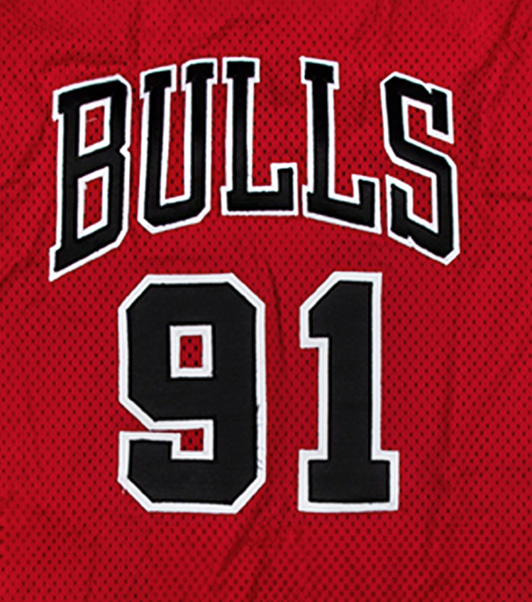 Chicago Bulls Rodman #91 Men's Mitchell Ness Big & Tall