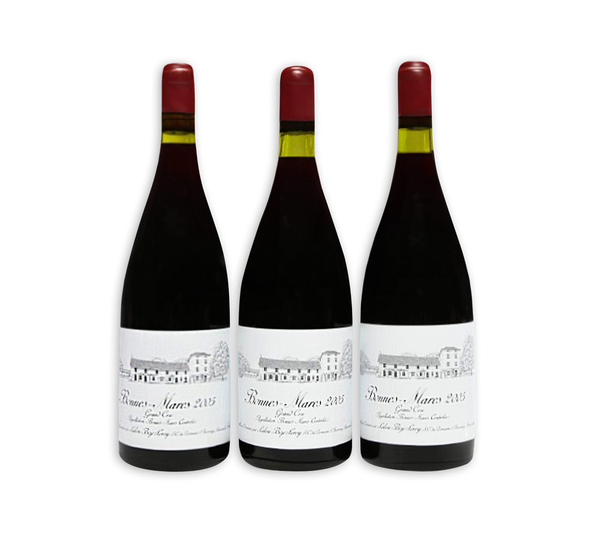 Domaine d'Auvenay Bonnes-Mares 2006 空瓶 hero-image-1718724530.png