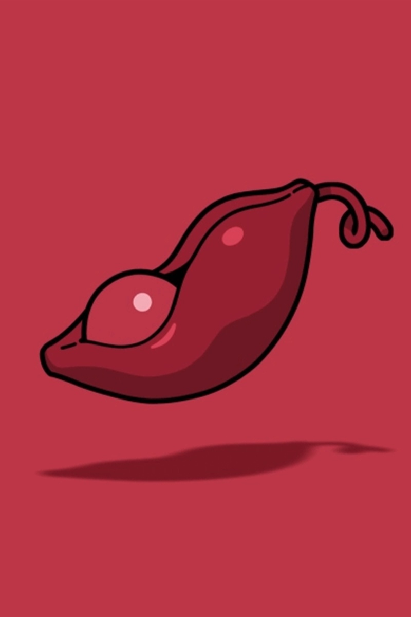 Beanz #9670: A Timeless Investment | Timeless Investments