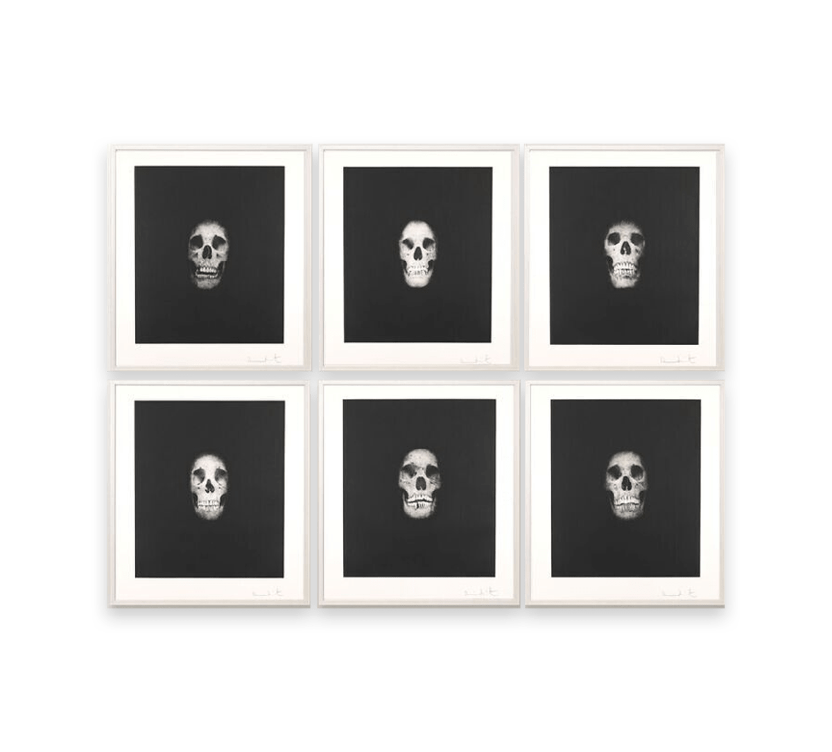DAMIEN HIRST - I once was what you are... Image