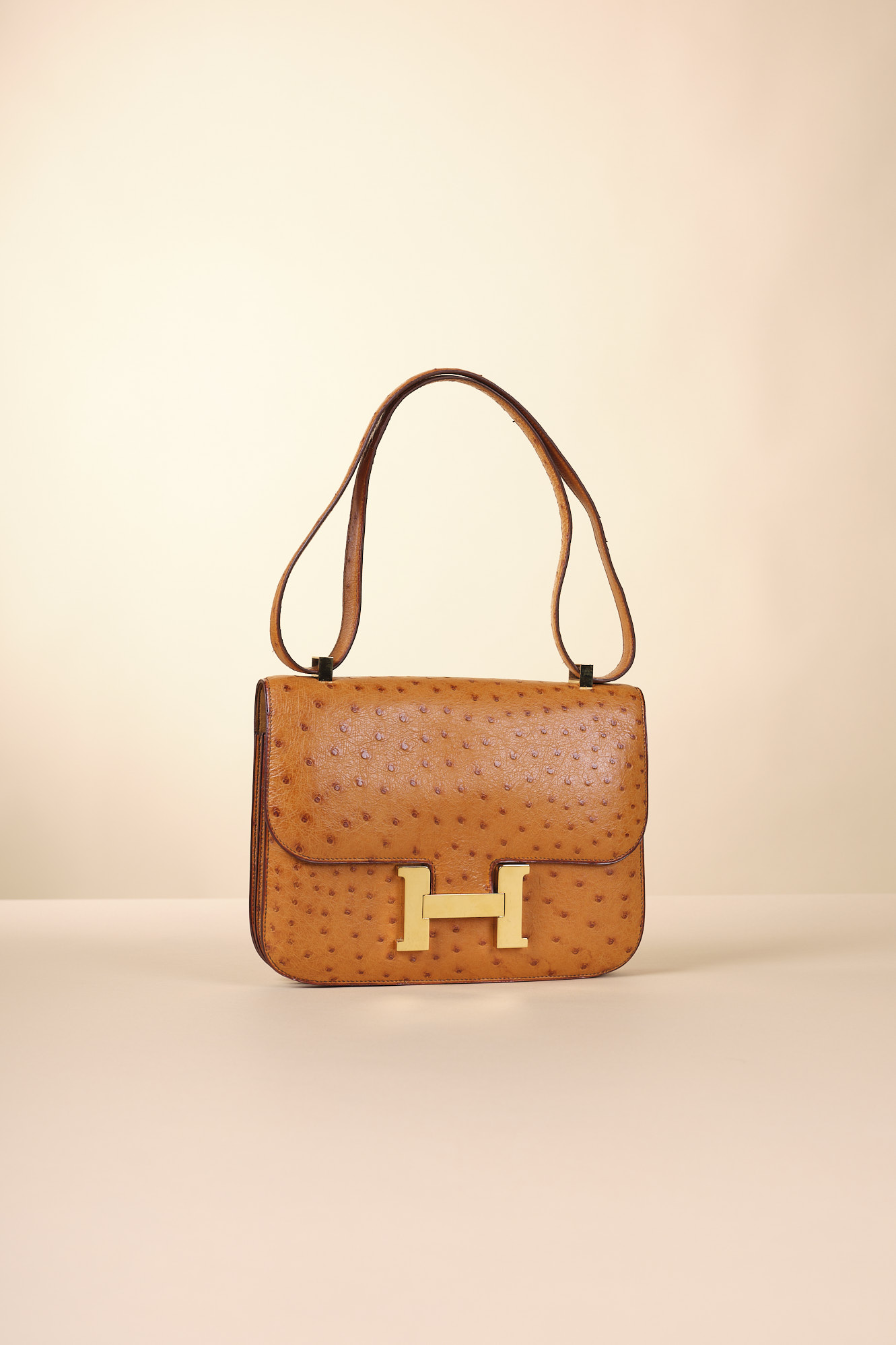 Hermès Constance Bag Ostrich 24